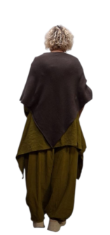 Poncho bruin