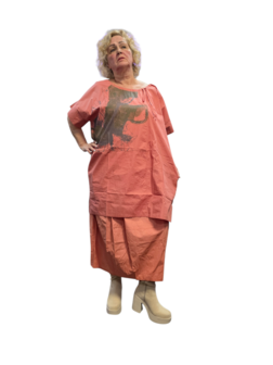 Tuniek terra met print