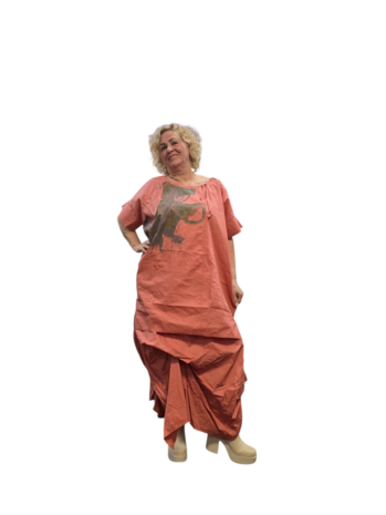 Tuniek terra met print