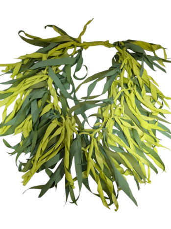  Handgemaakte  ketting groen