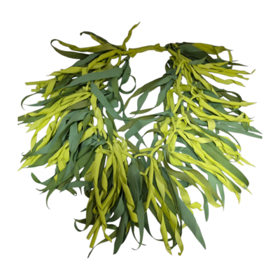 Handgemaakte  ketting groen